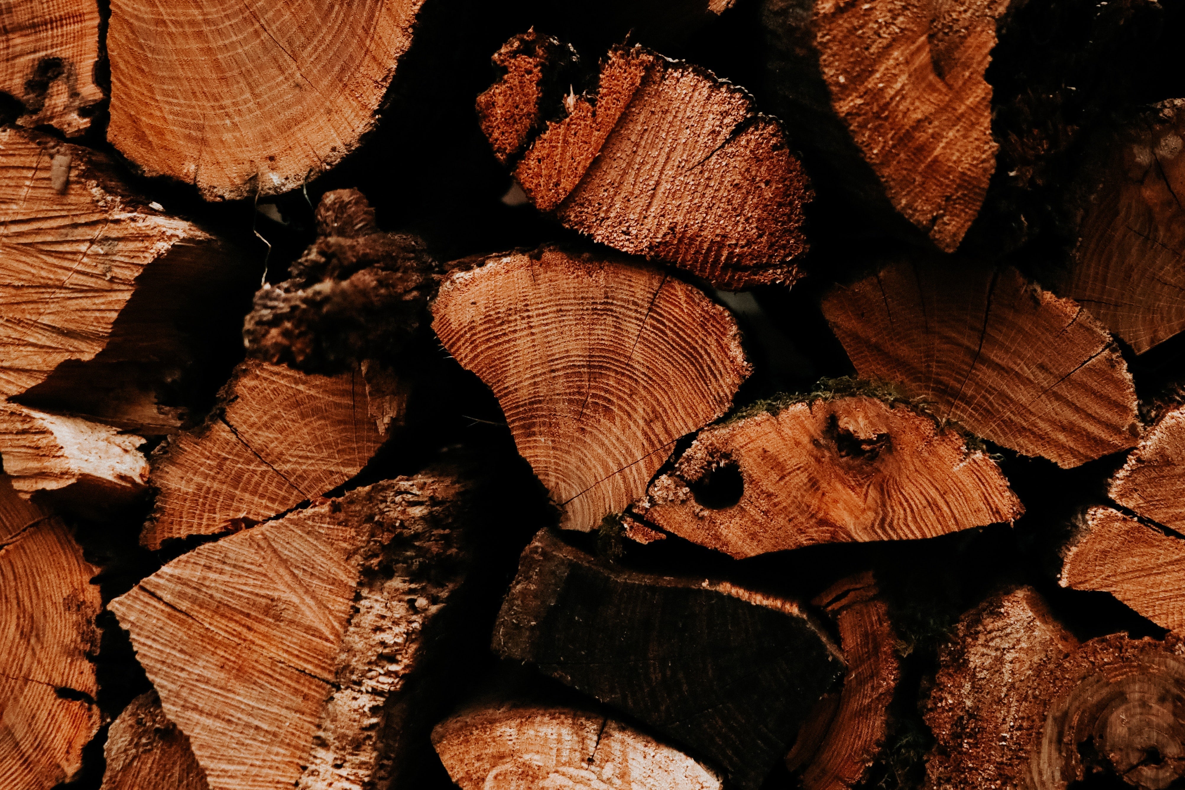 The Timeless Elegance of Solid Wood Furniture: A Closer Look at Its Benefits - Danner Furniture