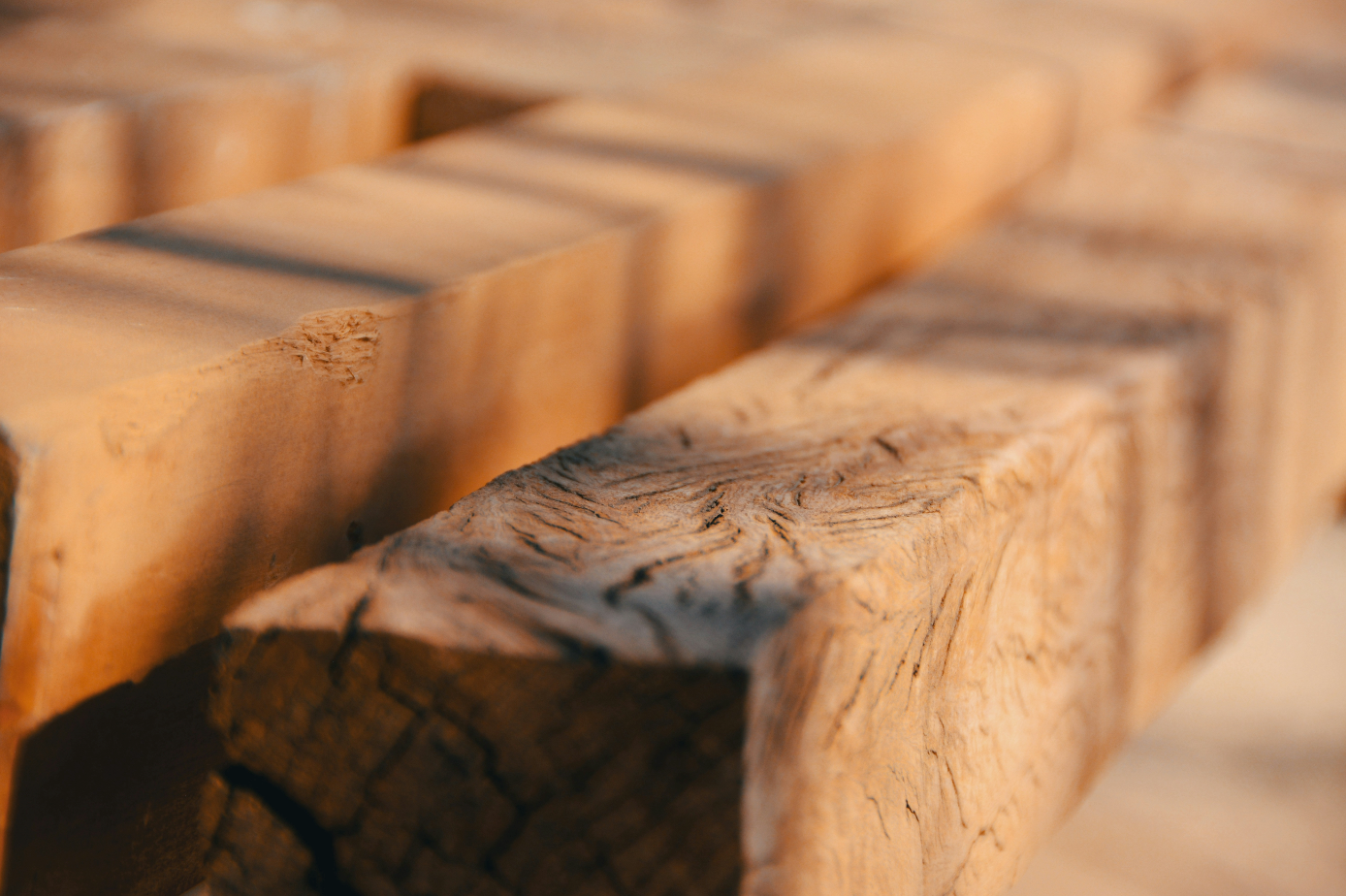 close up image of wood logs laying in bright sunlight