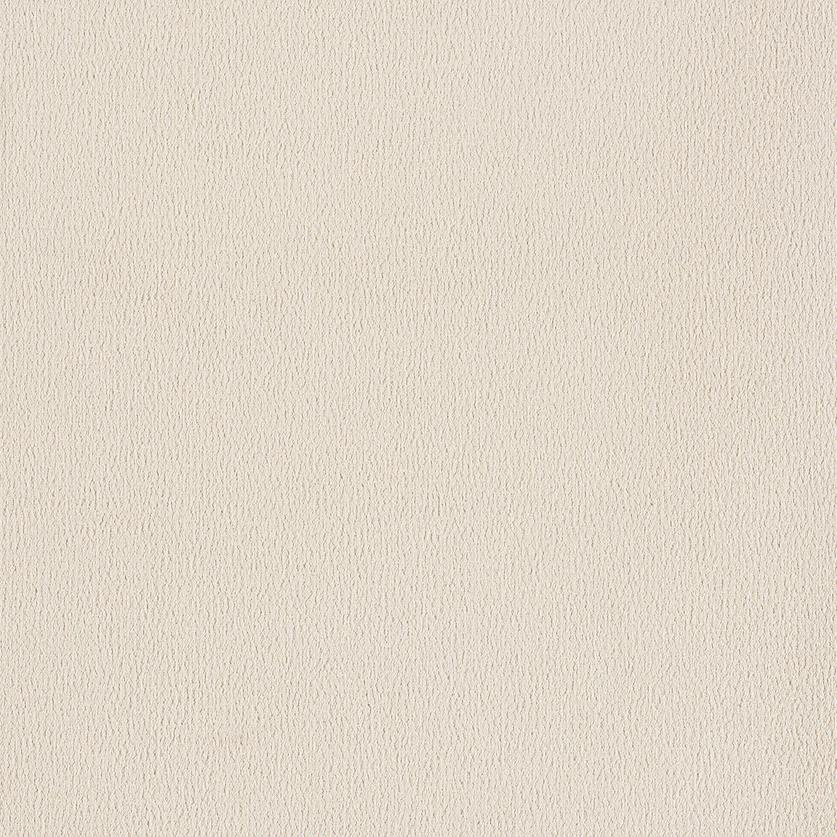 Wood Sample