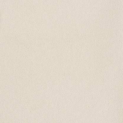 Wood Sample